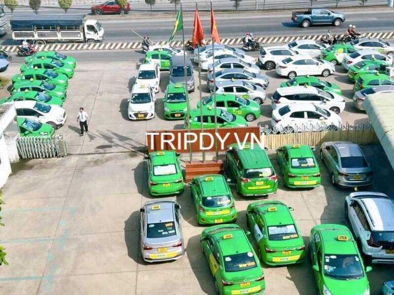 20 Hãng taxi Biên Hoà giá rẻ đưa đón sân bay số điện thoại 24 24