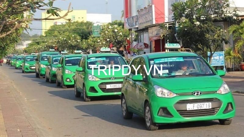 Top 22 Hãng taxi Bình Thuận giá rẻ số điện thoại tổng đài 24/24