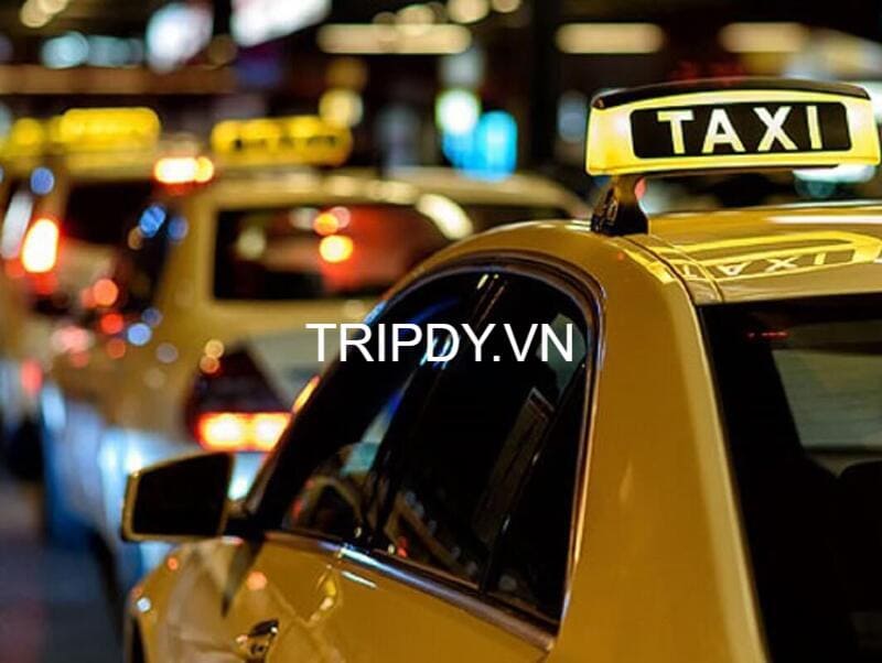 Top 22 Hãng taxi Tây Ninh giá rẻ số điện thoại tổng đài 24/24