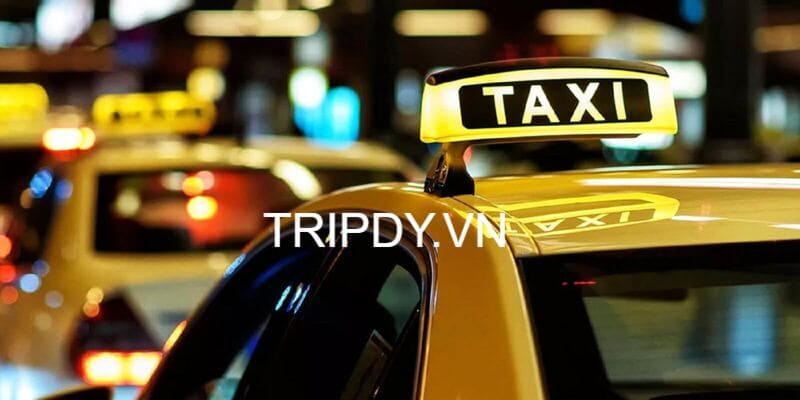 Top 20 Hãng taxi Thốt Nốt Cần Thơ giá rẻ số điện thoại tổng đài
