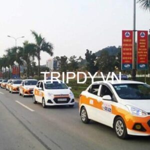 Top 15 Hãng taxi Sapa giá rẻ SĐT số điện thoại tổng đài 24/24