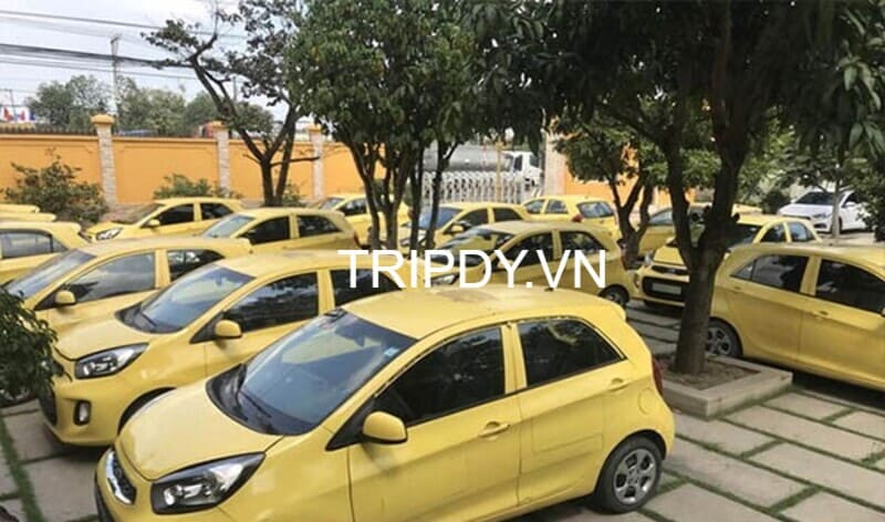Top 13 Hãng taxi Sa Đéc Đồng Tháp giá rẻ số điện thoại tổng đài