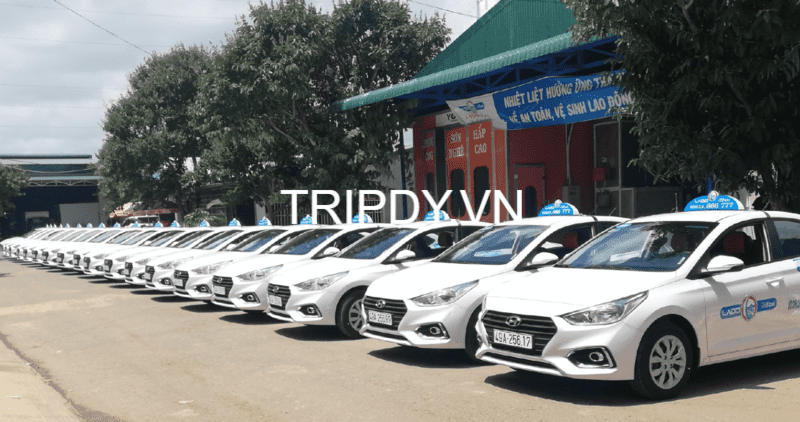 Top 11 Hãng taxi Lâm Hà Lâm Đồng số điện thoại tổng đài