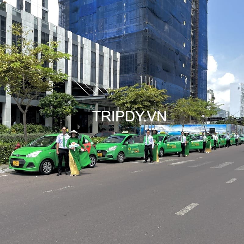 Top 10 Hãng taxi An Nhơn Bình Định đưa đón thị xã vào trung tâm
