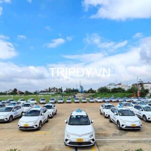 20 Hãng taxi Biên Hoà giá rẻ đưa đón sân bay số điện thoại 24/24