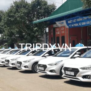 Top 12 Hãng taxi Bình Châu đi suối nước nóng số điện thoại 24/24