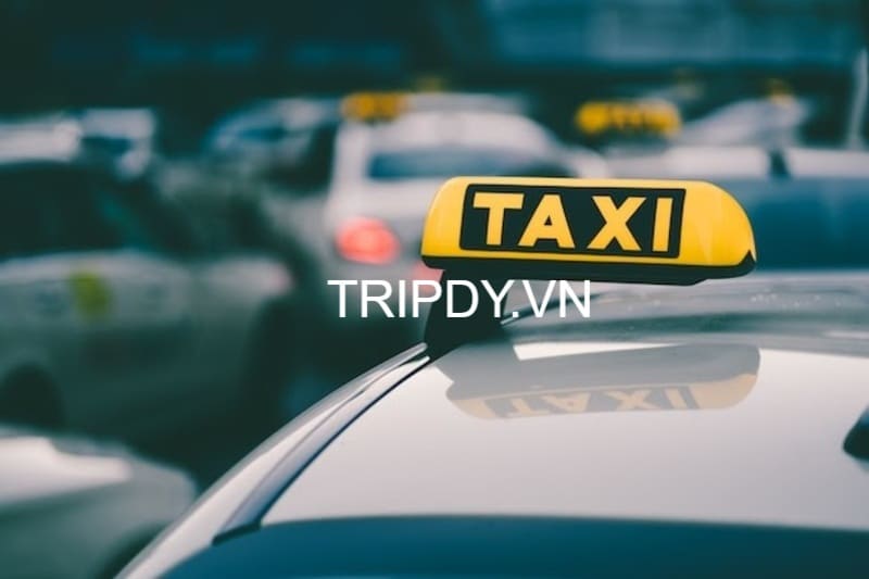 Top 10 Hãng taxi Cần Đước Long An nổi tiếng uy tín số điện thoại