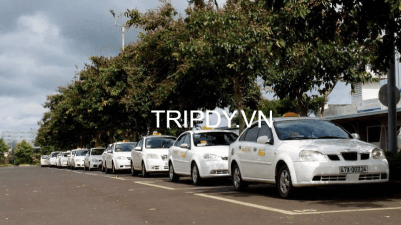 Top 9 Hãng taxi Cư Kuin giá rẻ số điện thoại tổng đài 24/24h