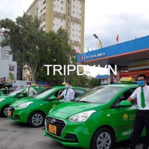 Top 12 Hãng taxi Cửa Lò Nghệ An số điện thoại tổng đài giá rẻ