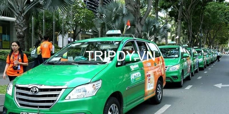 Top 22 Hãng taxi Di Linh Lâm Đồng giá rẻ số điện thoại tổng đài