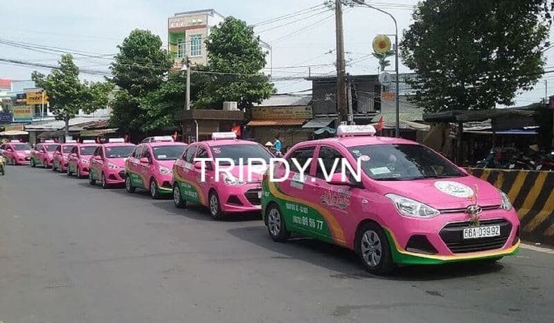 Top 11 Hãng taxi Lấp Vò Đồng Tháp số điện thoại tổng đài 24h