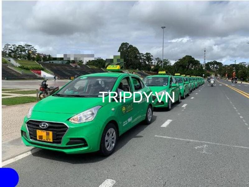 Top 21 Hãng taxi Nam Định giá rẻ số điện thoại tổng đài 24/24