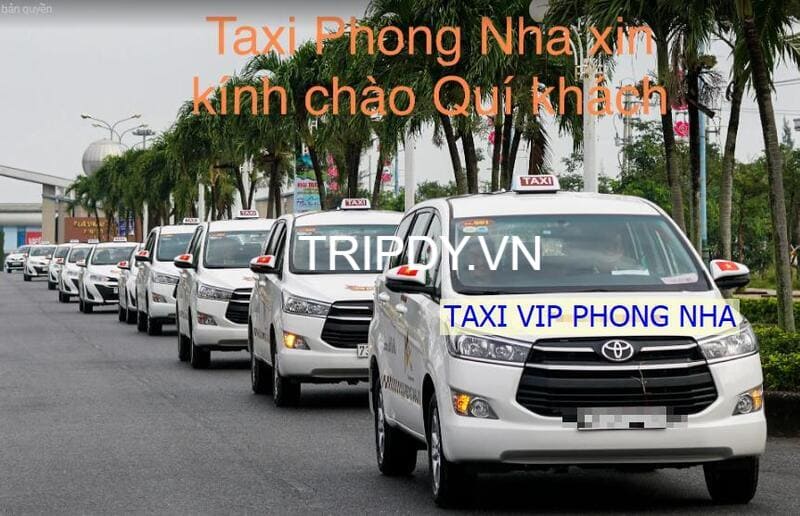 10 Hãng taxi Phong Nha taxi huyện Bố Trạch Quảng Bình uy tín