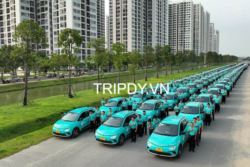 Top 16 Hãng taxi quận 9 thành phố Hồ Chí Minh số điện thoại