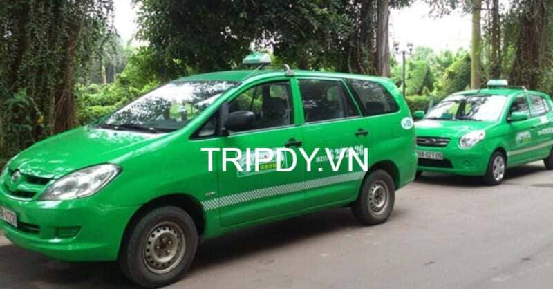 Top 15 Hãng taxi Tam Đảo Vĩnh Phúc giá rẻ số điện thoại tổng đài