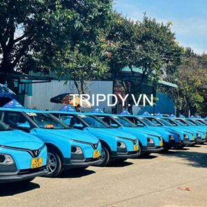 Top 15 Hãng taxi Tuy Phước Bình Định giá rẻ số tổng đài 24/24