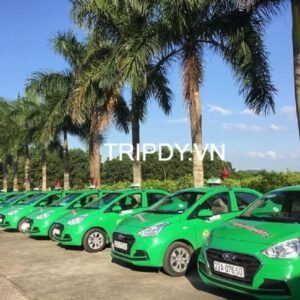 Top 21 Hãng taxi Tuyên Quang số điện thoại tổng đài giá rẻ