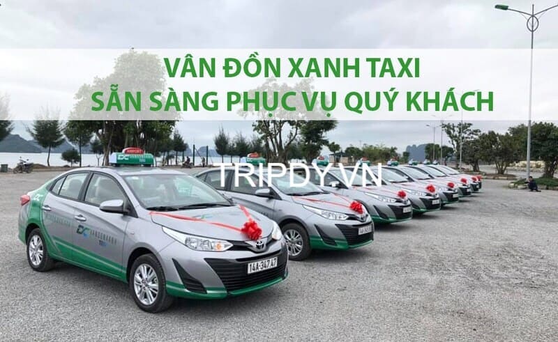 Top 15 Hãng taxi Vân Đồn Quảng Ninh số điện thoại tổng đài 24/24