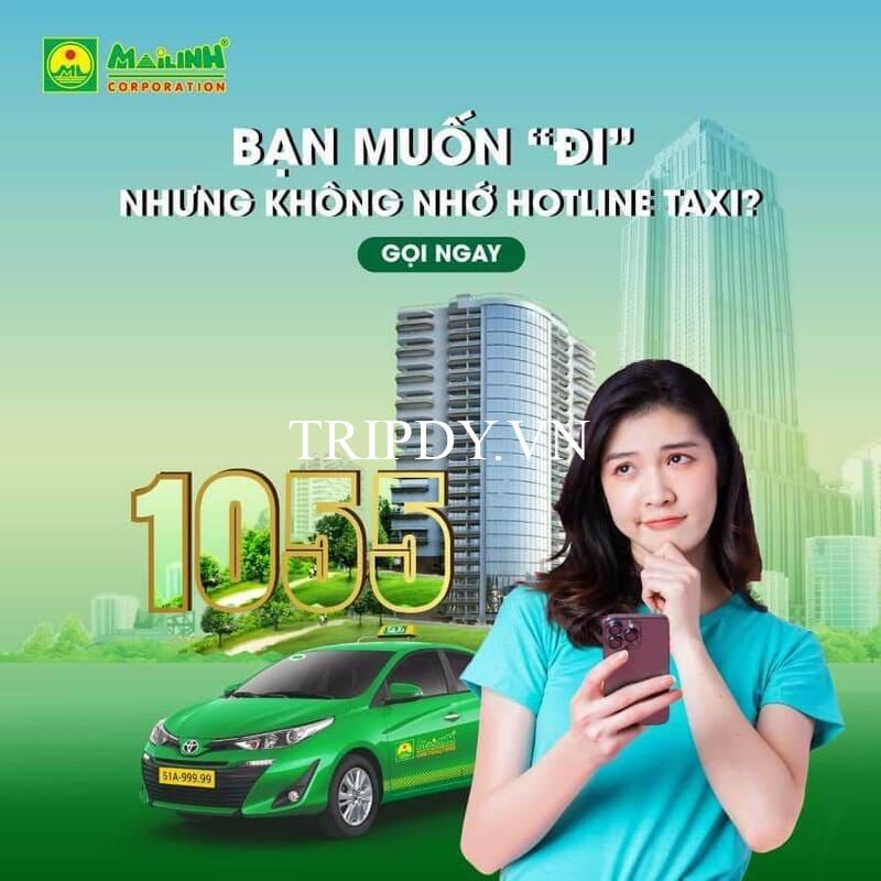 taxi-mai-linh-bac-giang-11