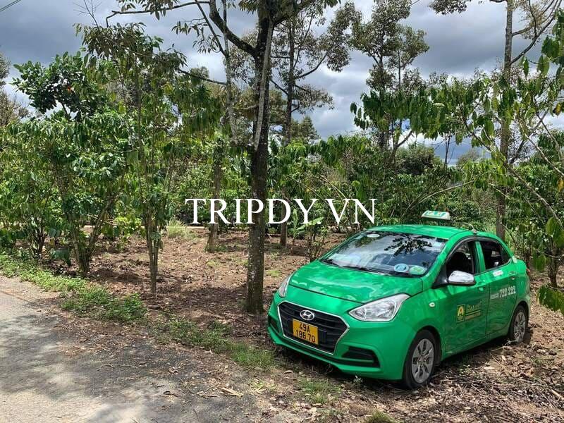 taxi-mai-linh-bao-loc-1 Taxi Mai Linh Bảo Lộc: Giá cước, địa chỉ và số điện thoại tổng đài