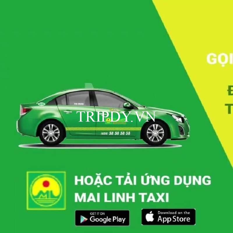 Taxi Mai Linh Bảo Lộc: Giá cước, địa chỉ và số điện thoại tổng đài