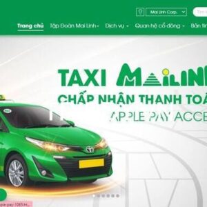 Taxi Mai Linh Hà Tĩnh: Giá cước, địa chỉ và số điện thoại tổng đài