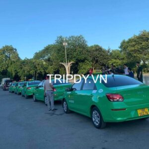 Taxi Mai Linh Nam Định: Giá cước, địa chỉ và số điện thoại tổng đài