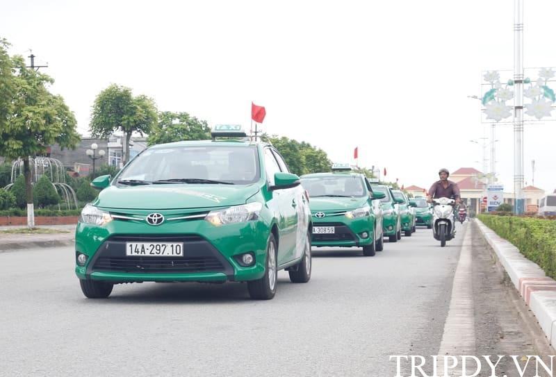 Taxi Mai Linh Cẩm Phả: Số điện thoại tổng đài và giá cước km