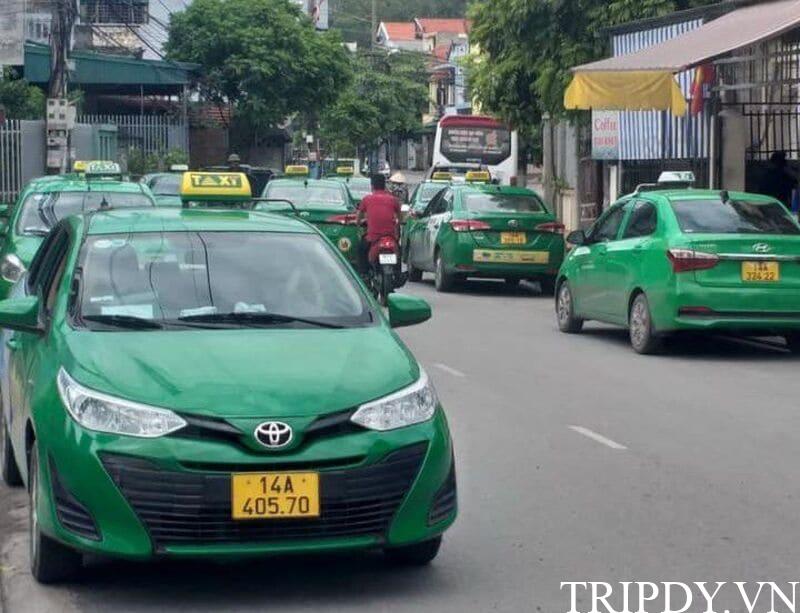 Taxi Mai Linh Cẩm Phả: Số điện thoại tổng đài và giá cước km