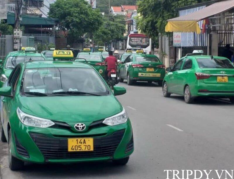 taxi-mai-linh-cam-pha-4 Taxi Mai Linh Cẩm Phả: Số điện thoại tổng đài và giá cước km