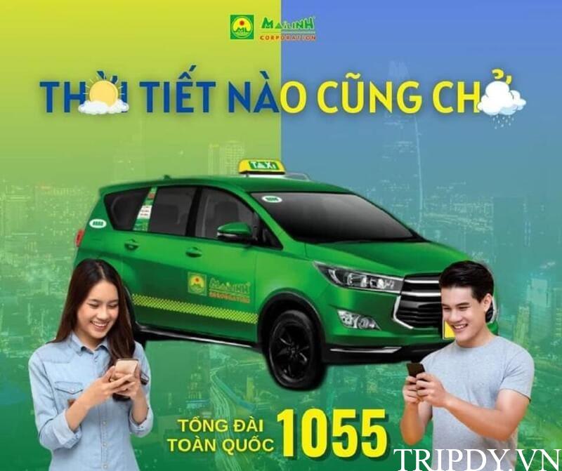 taxi-mai-linh-gia-nghia-8