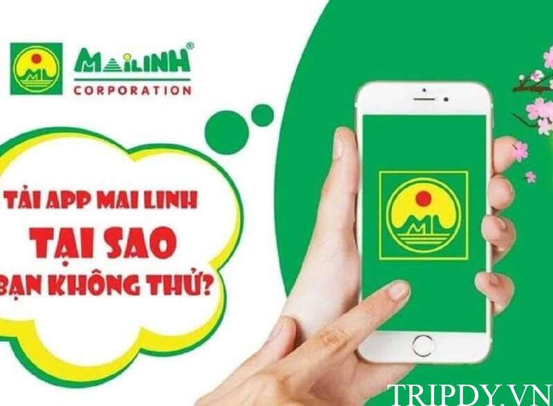 Taxi Mai Linh Phú Quốc: Giá cước km và số điện thoại tổng đài