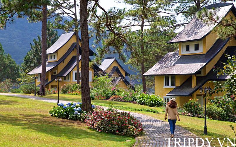 Top 10 Khu nghỉ dưỡng resort Hồ Tuyền Lâm view rừng thông đẹp